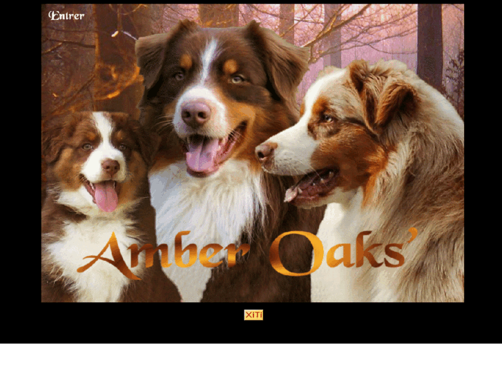 www.amber-oaks.com