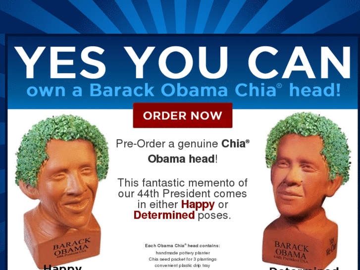 www.chiabarackobama.com