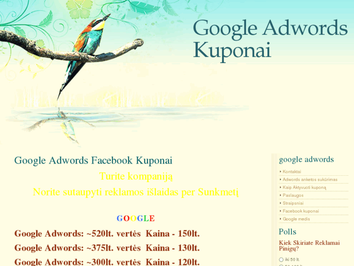 www.googlekuponai.com