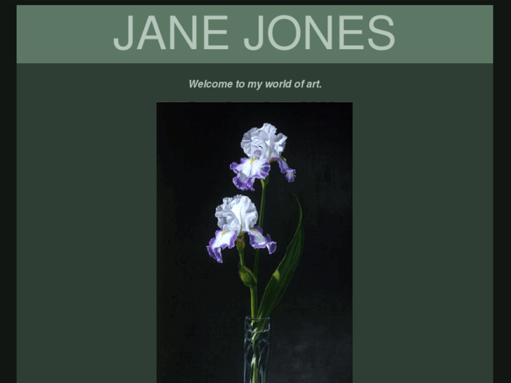 www.janejonesartist.com