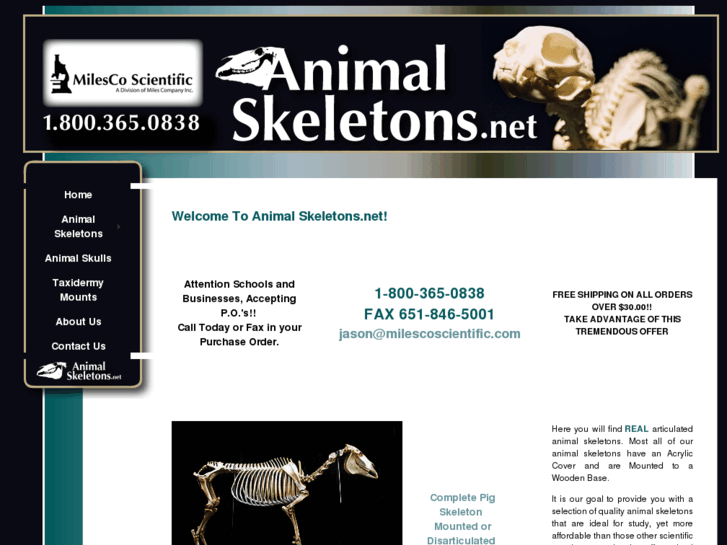 www.animalskeletons.net