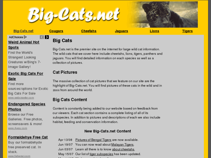 www.big-cats.net