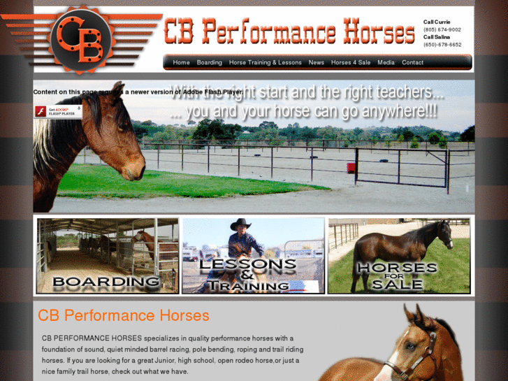 www.cbperfhorses.com