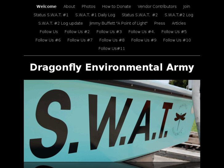 www.dragonflyenvironmentalarmy.com
