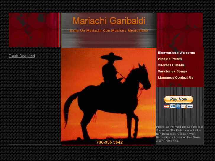 www.elmariachigaribaldi.com