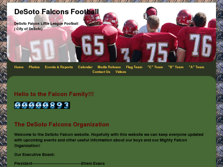 www.thedesotofalcons.com