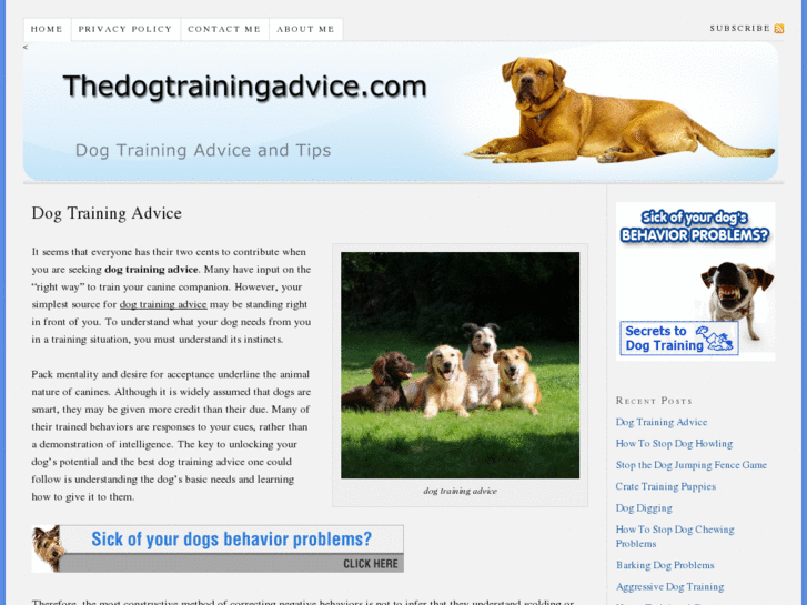 www.thedogtrainingadvice.com