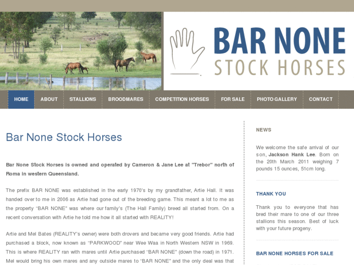 www.barnonestockhorses.com