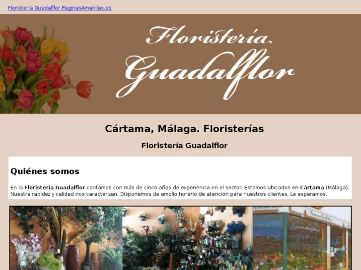 www.floristeriaguadalflor.es