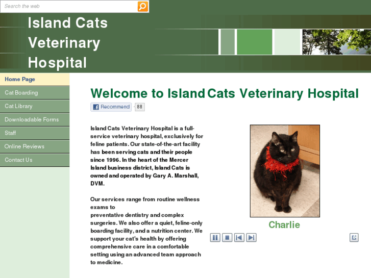 www.islandcats.com