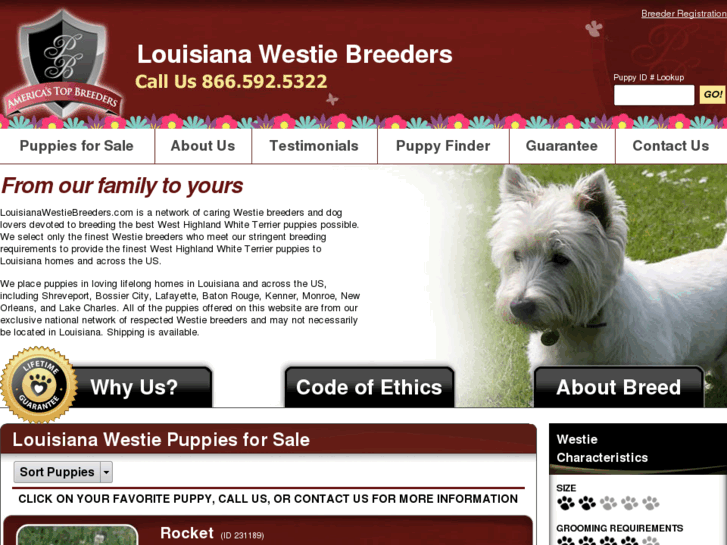 www.louisianawestiebreeders.com