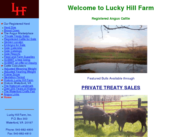 www.luckyhill.com