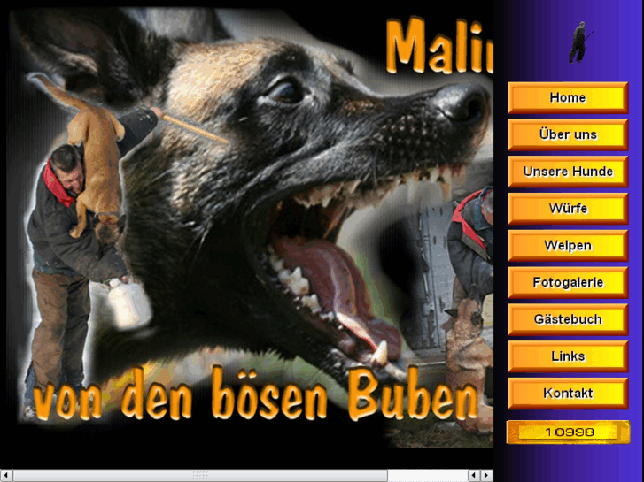 www.malinois-boese-buben.com