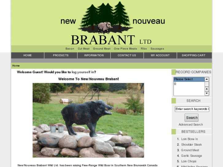 www.newbrabant.com