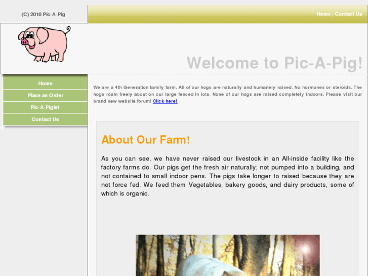 www.picapig.com