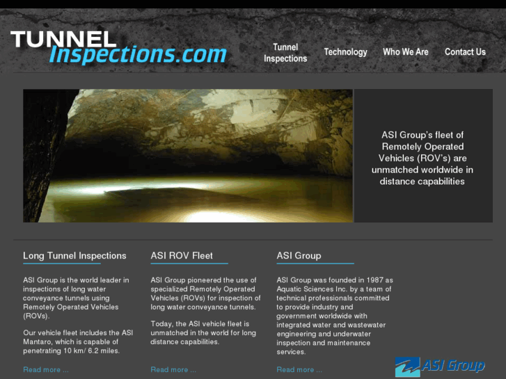 www.tunnelinspections.com