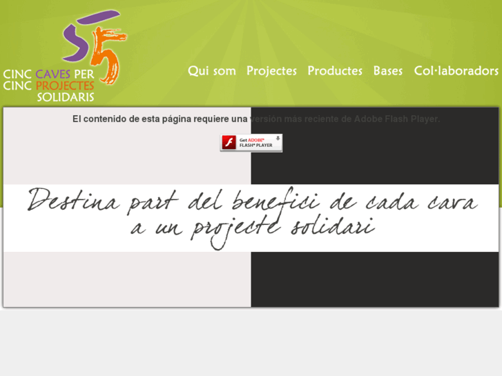 www.5cavas5proyectos.com