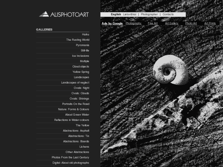 www.alisphotoart.com