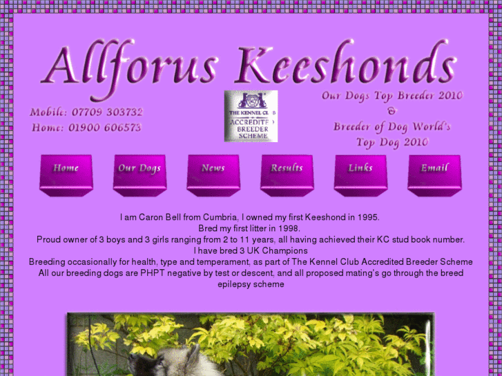 www.allforus.co.uk