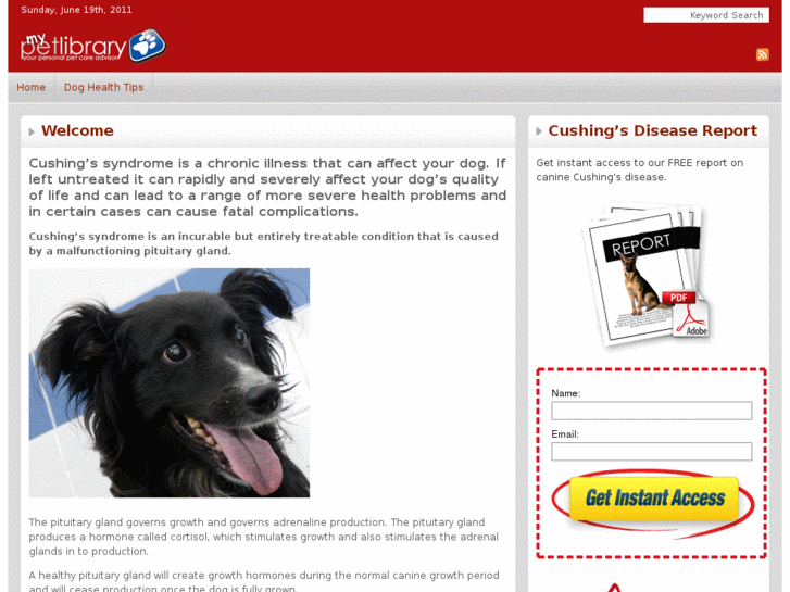 www.cushingsindogs.org