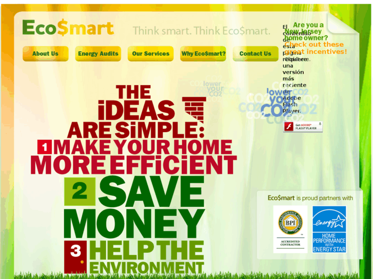 www.ecosmartsteps.com