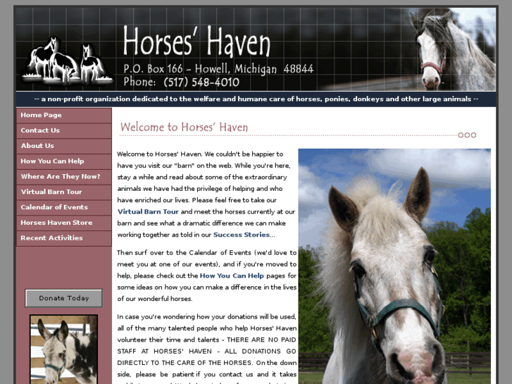 www.horseshaven.org