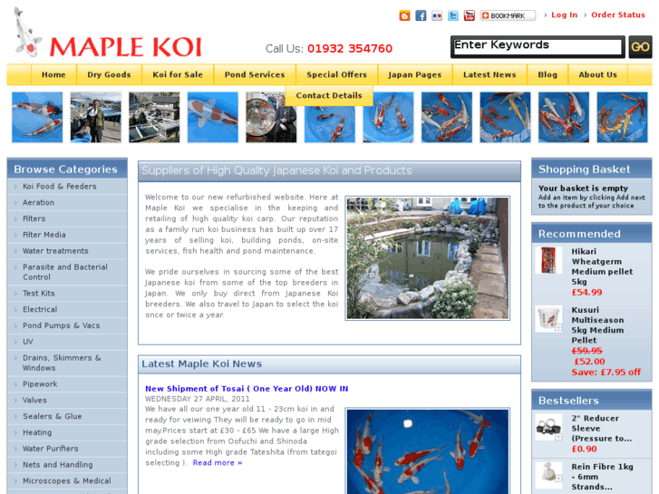 www.maplekoi.co.uk