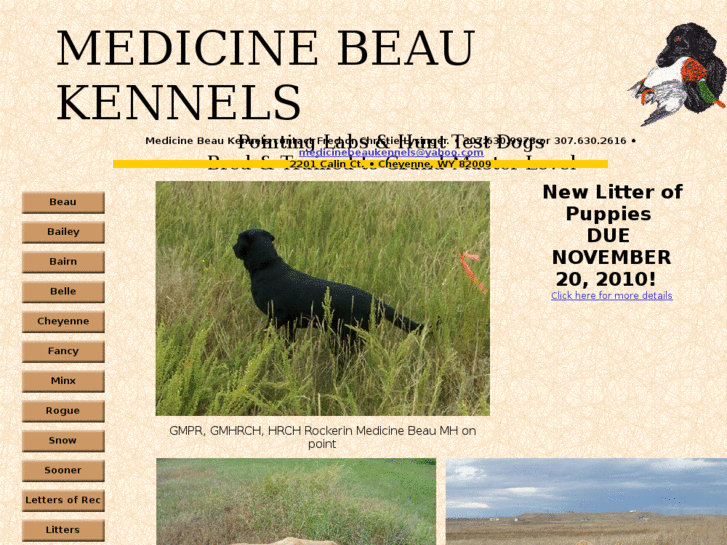 www.medicinebeaukennels.com