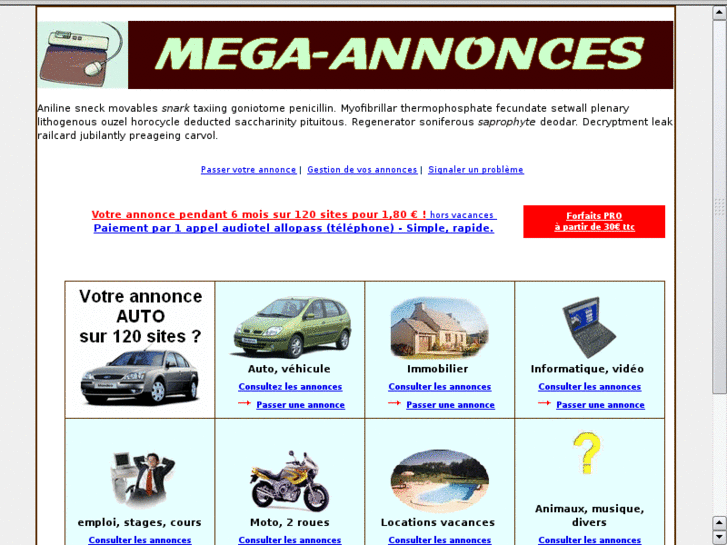 www.mega-annonces.com