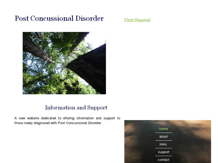 www.postconcussionaldisorder.com