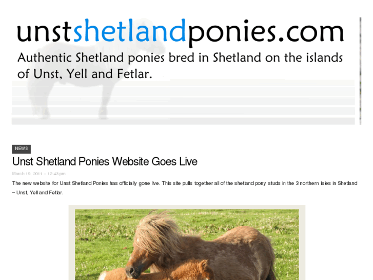 www.unstshetlandponies.com