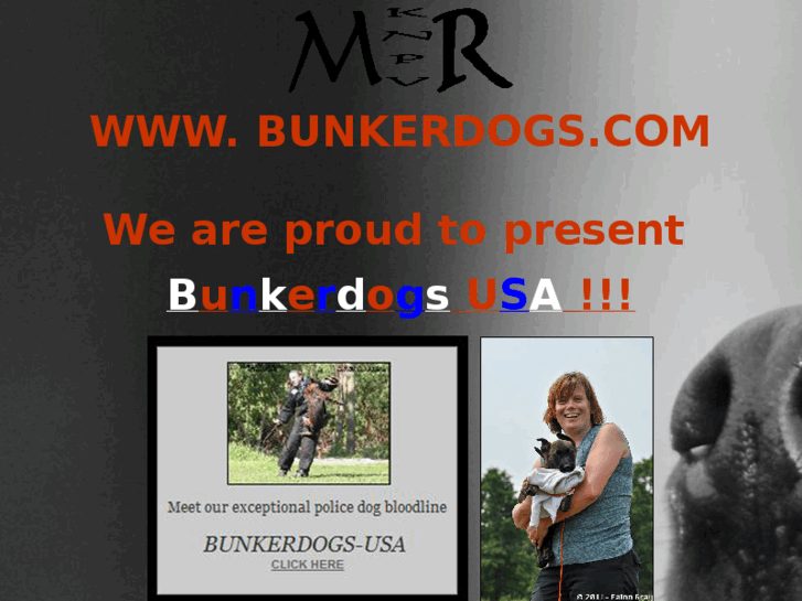 www.bunkerdogs.com