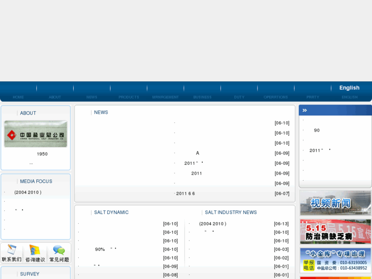www.chinasalt.com.cn