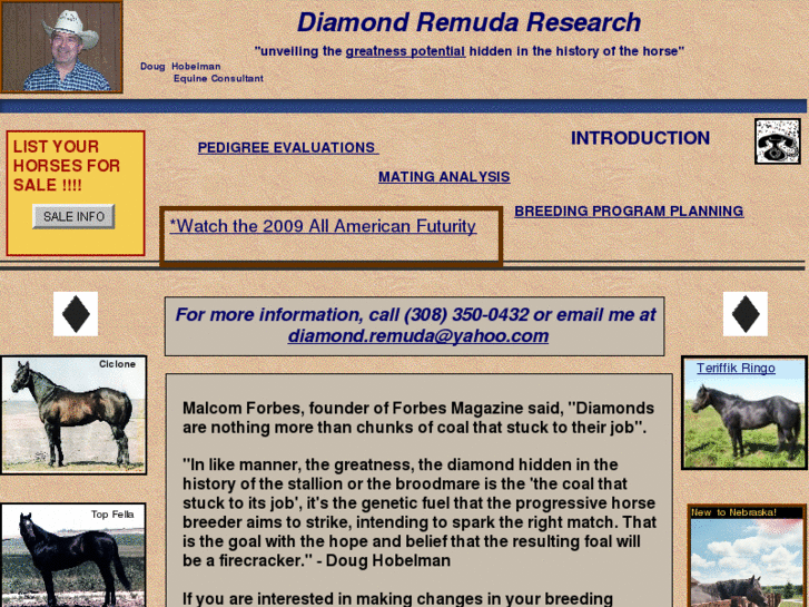 www.diamondremudaresearch.com