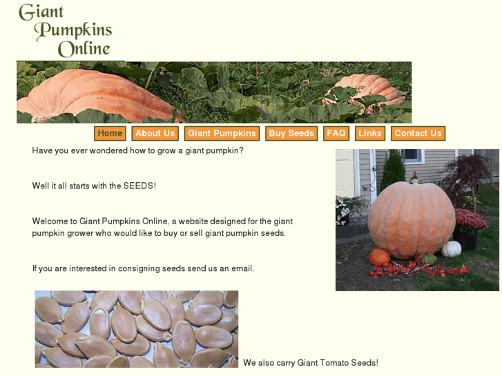 www.giantpumpkinsonline.com