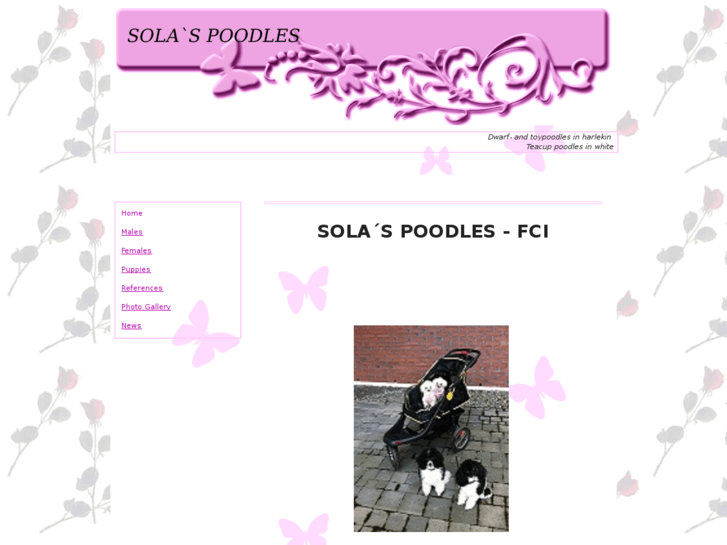 www.solaspoodles.com