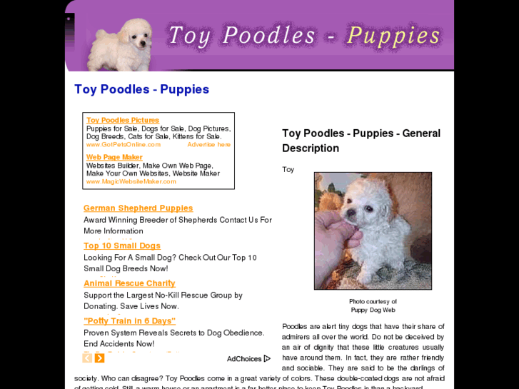 www.toy-poodles-puppies.com