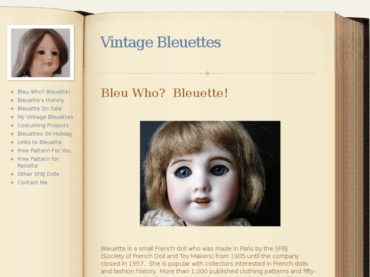 www.vintagebleuettes.com