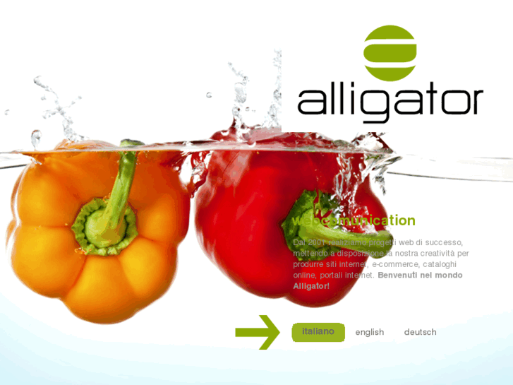 www.alligator.it