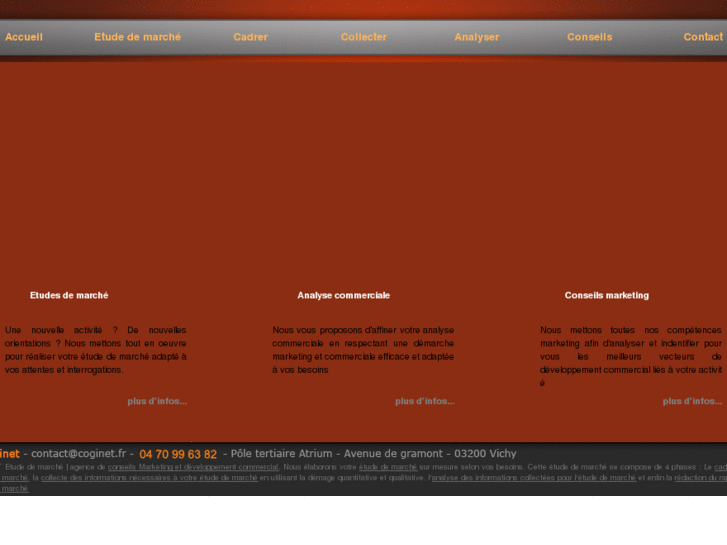 www.coginet-etude-de-marche.fr