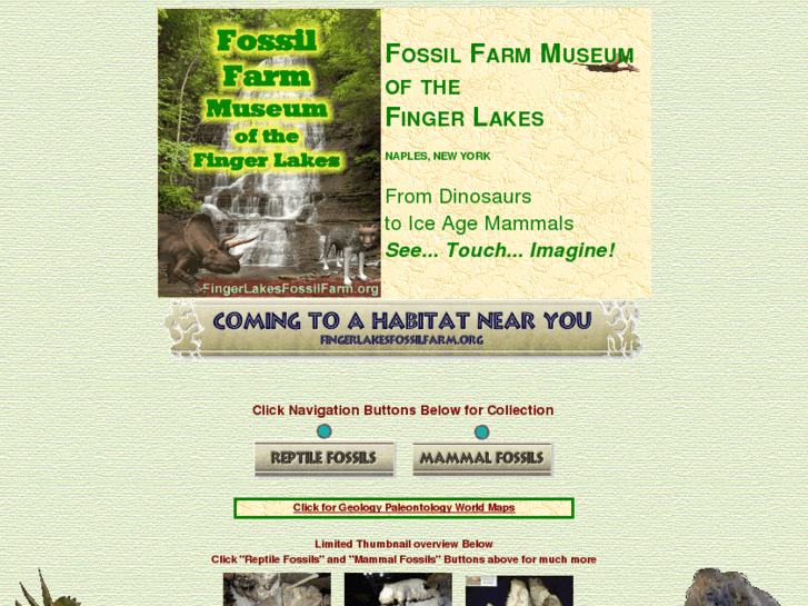 www.fingerlakesfossilfarm.org