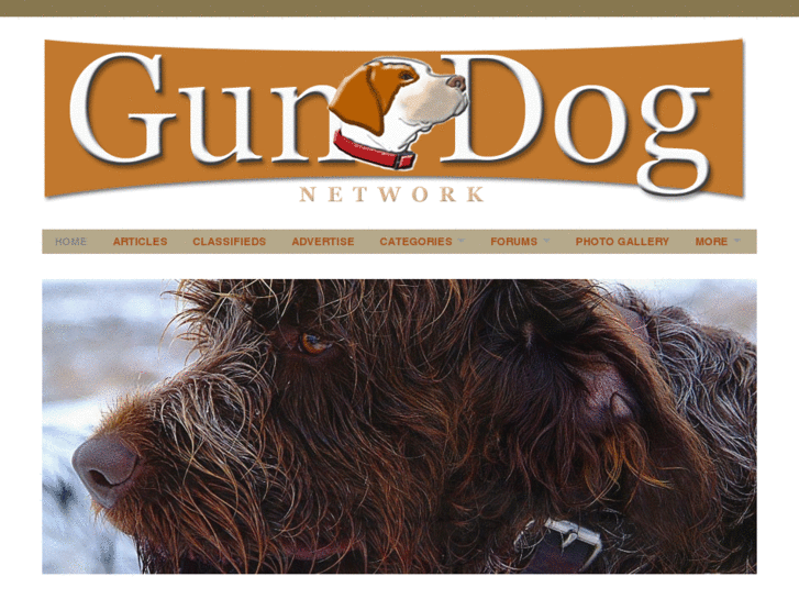 www.gundogfusion.com