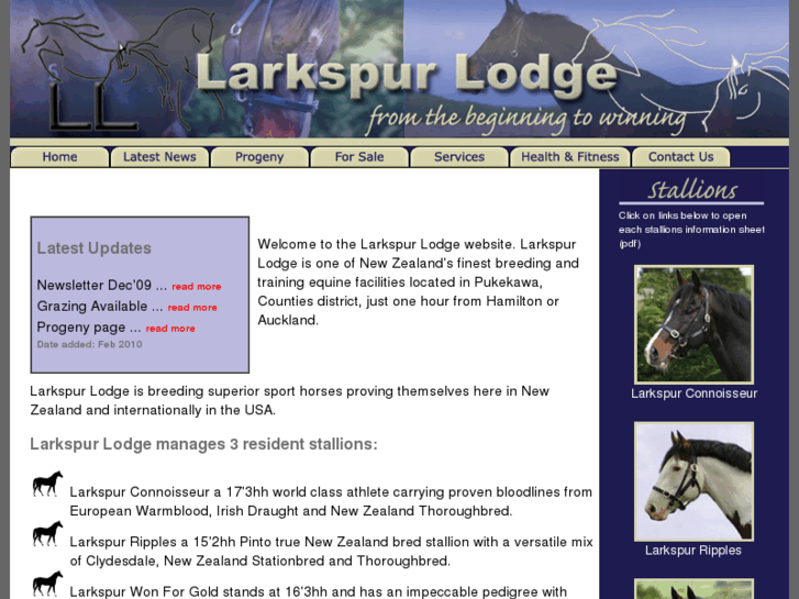 www.larkspurlodgenz.com