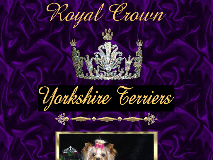 www.royalcrownyorkies.com