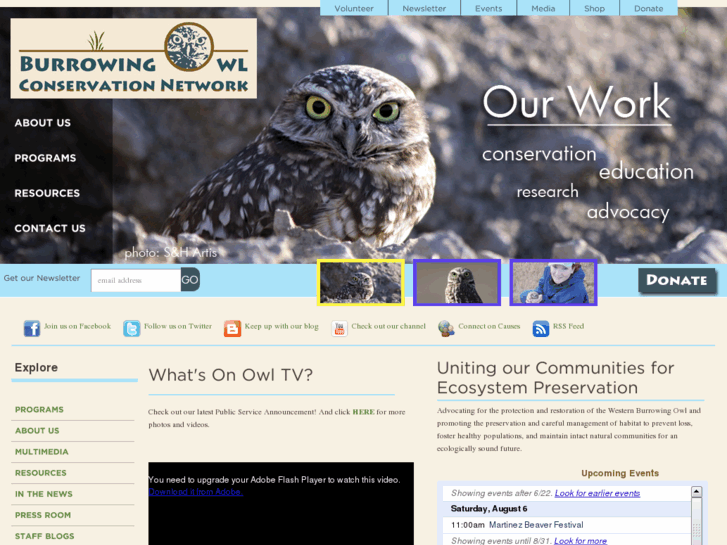 www.burrowing-owl.org