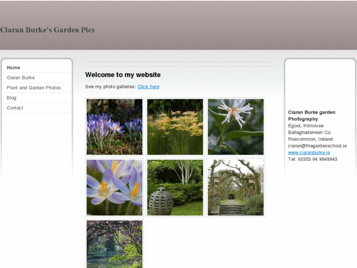 www.ciaranburkegardenpics.com