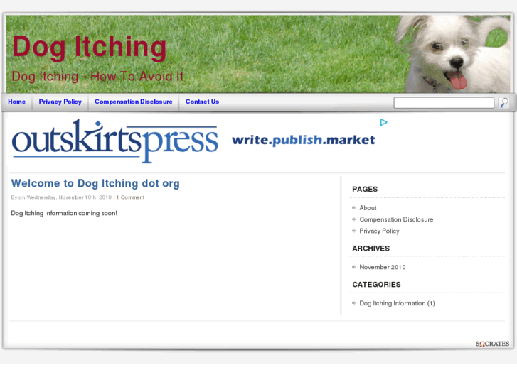 www.dogitching.org