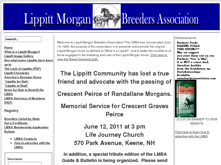 www.lippittmorganbreedersassociation.com