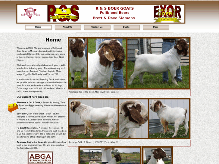 www.rsboergoats.com