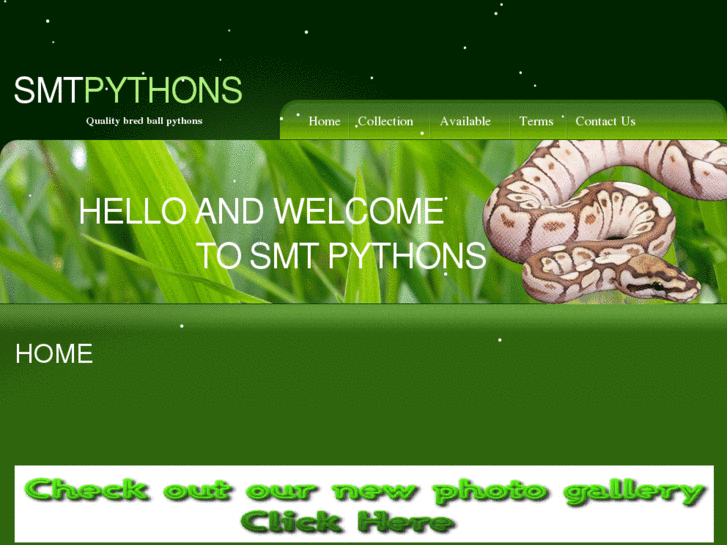 www.smtpythons.com
